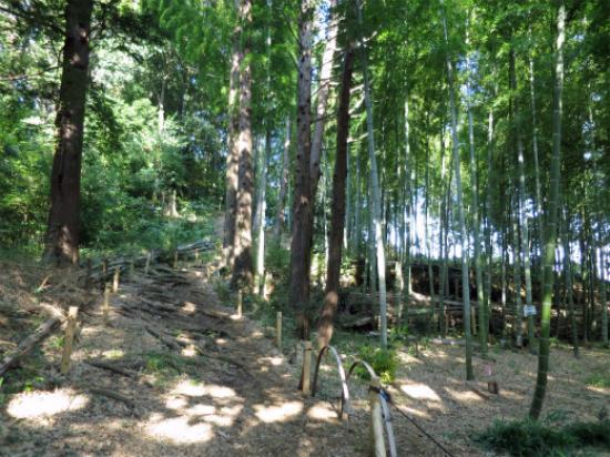 Kashinokiyama Nature Park